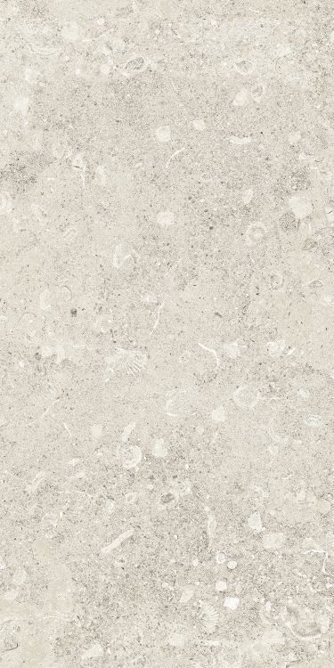 Sea Luster Avorio Matte 12 x 24